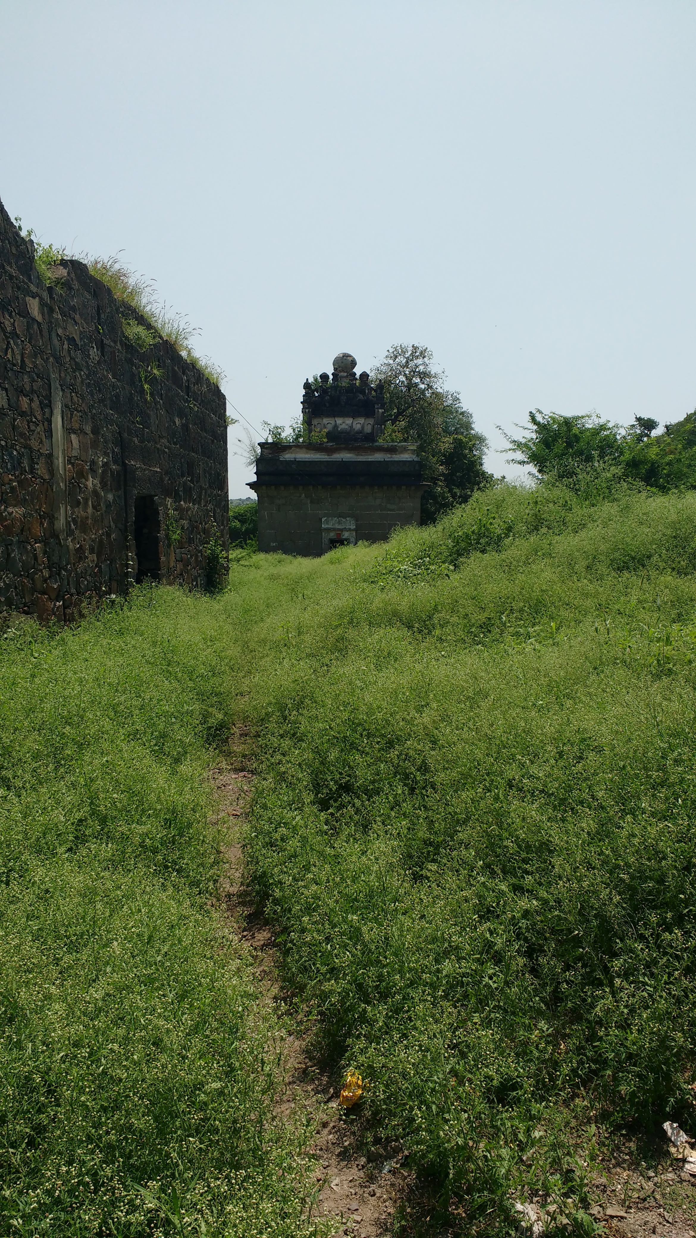 Devi Mandir Palashi Fort